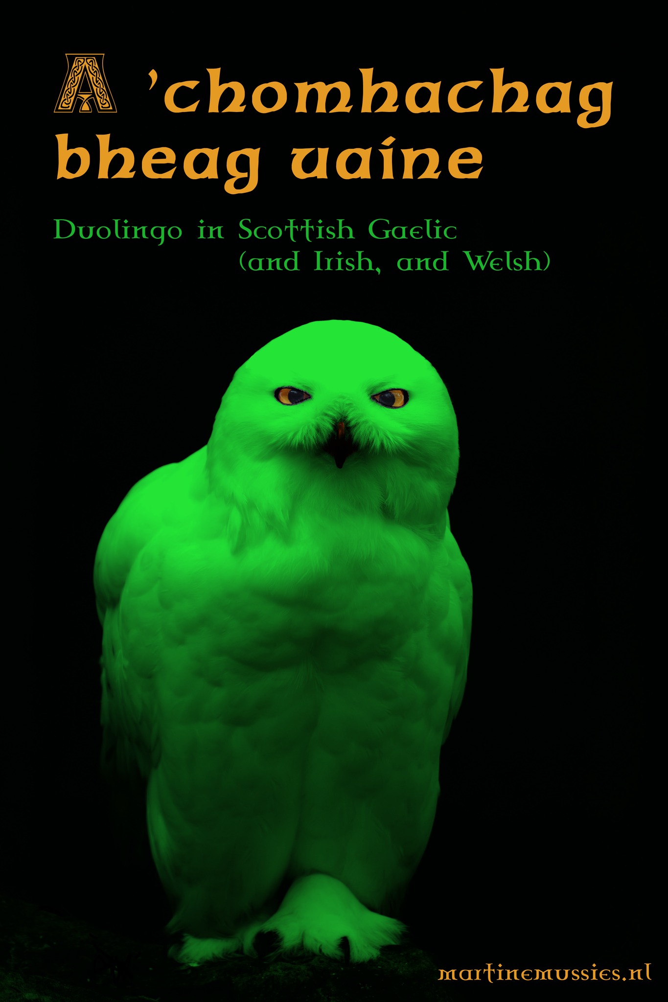 A ’chomhachag bheag uaine ‒ Duolingo in Scottish Gaelic (and Irish, and Welsh)